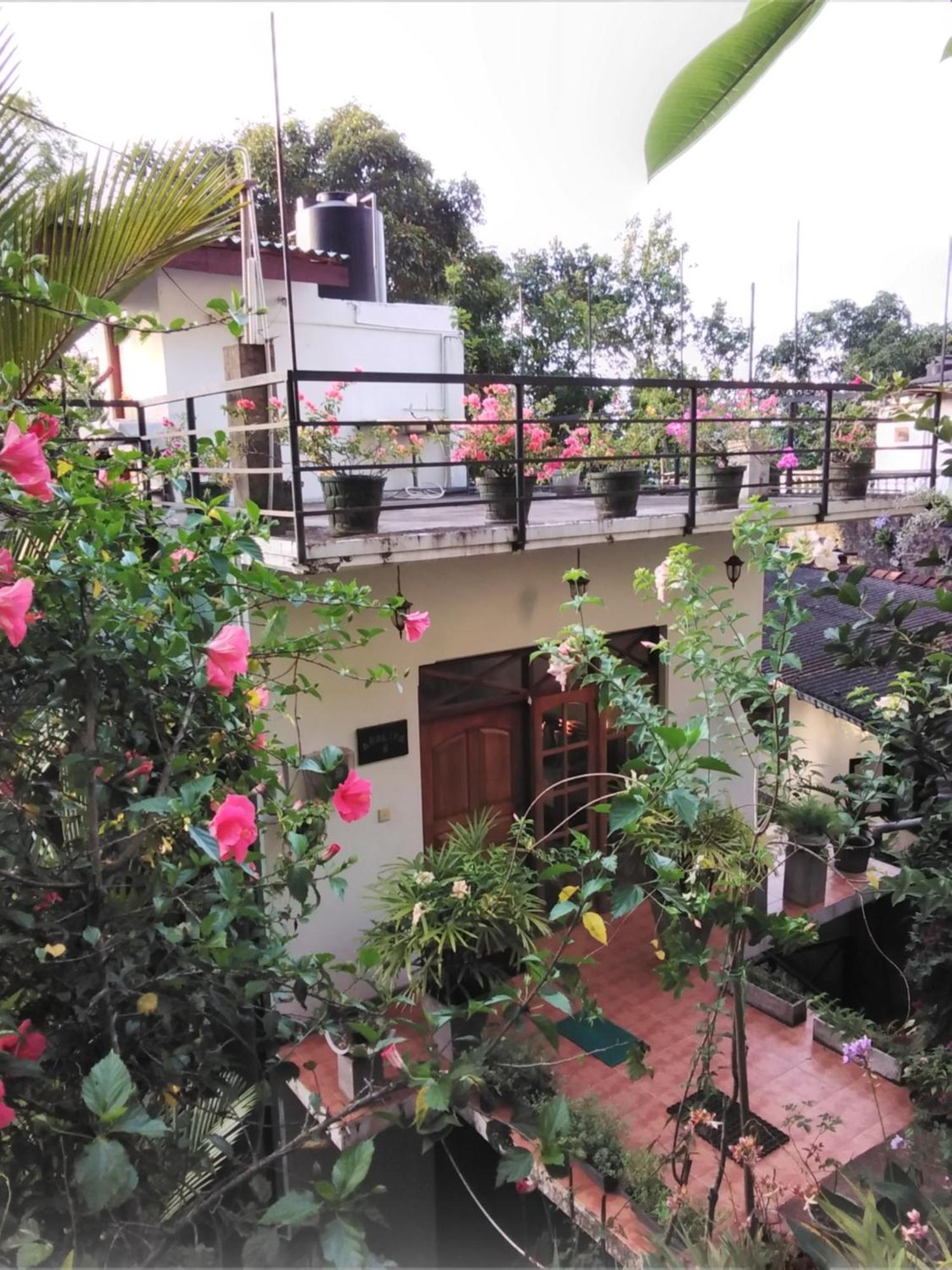 Araliya Home Stay Kandy Eksteriør bilde