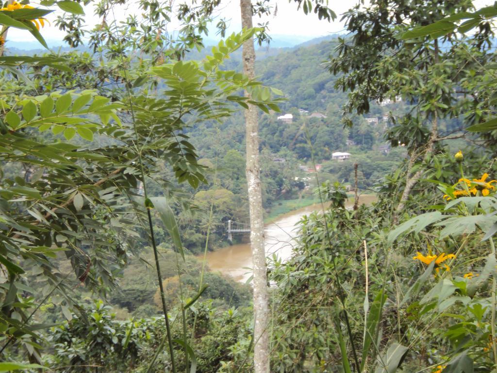 Araliya Home Stay Kandy Eksteriør bilde