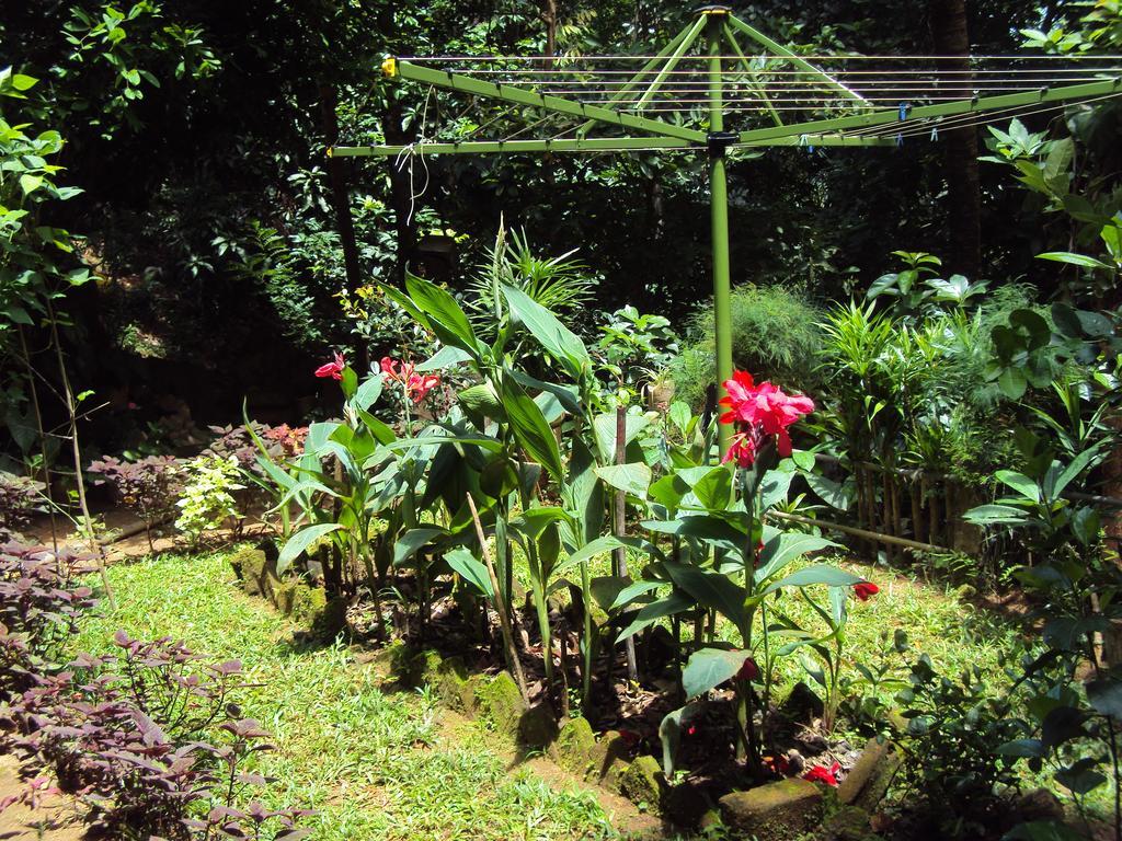 Araliya Home Stay Kandy Eksteriør bilde