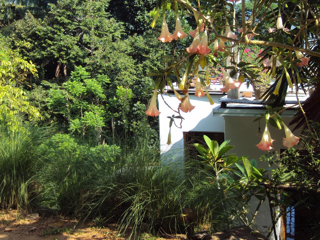Araliya Home Stay Kandy Eksteriør bilde