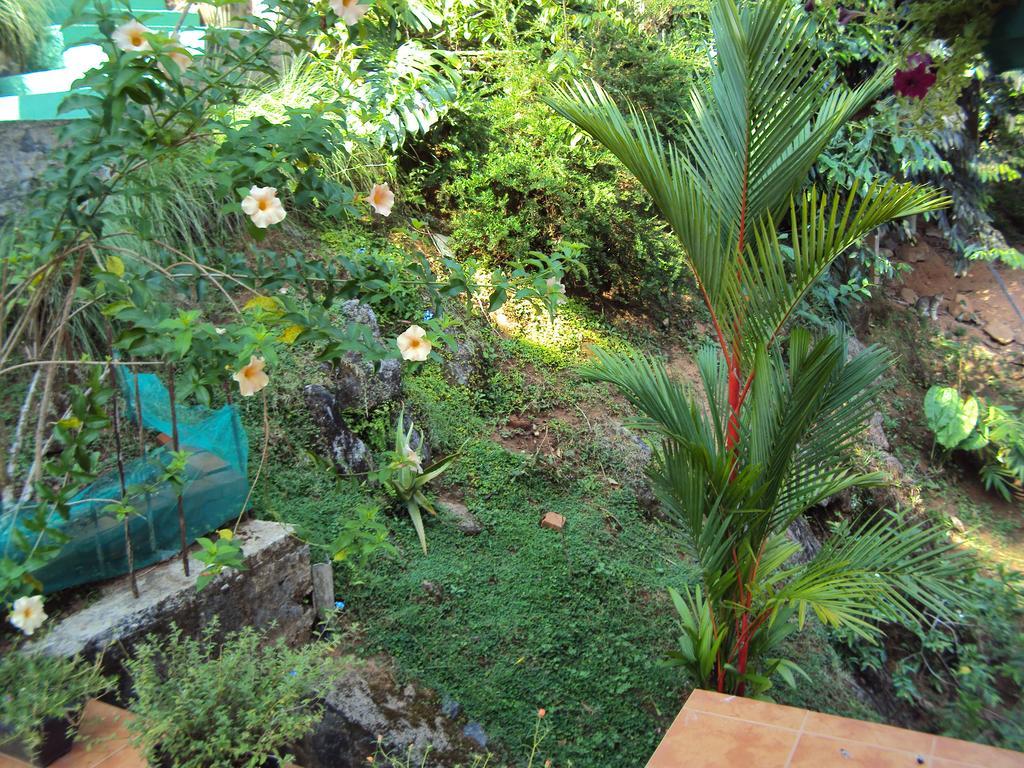 Araliya Home Stay Kandy Eksteriør bilde