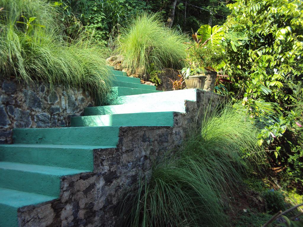 Araliya Home Stay Kandy Eksteriør bilde