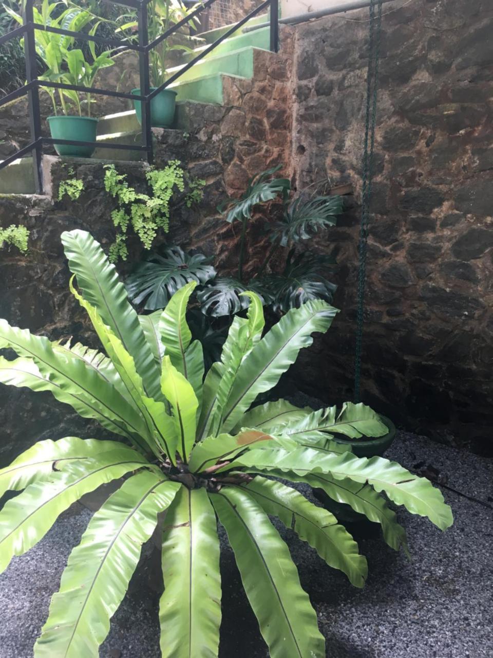Araliya Home Stay Kandy Eksteriør bilde
