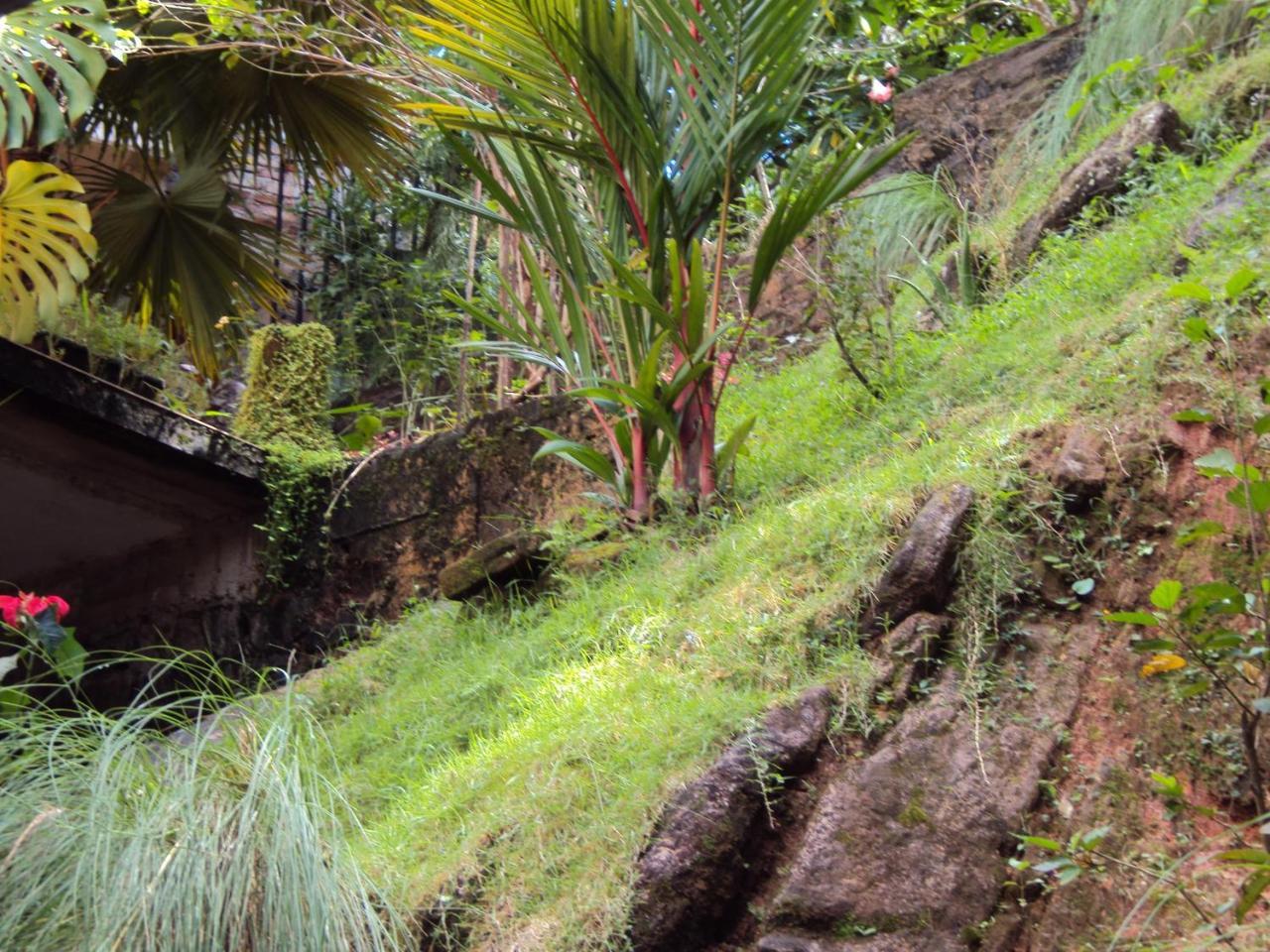 Araliya Home Stay Kandy Eksteriør bilde